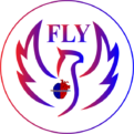 Fly Awake